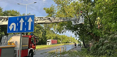 Strażacki maraton po burzy. Prawie 100 zgłoszeń w kilka godzin-80440