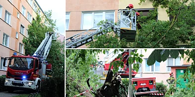 Żywioł uderzył, strażacy ruszyli - ponad 100 zgłoszeń w jedną noc [FOTO]-80443