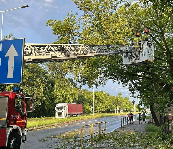 Strażacki maraton po burzy. Prawie 100 zgłoszeń w kilka godzin-80440