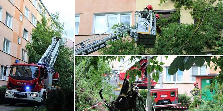 Żywioł uderzył, strażacy ruszyli - ponad 100 zgłoszeń w jedną noc [FOTO]