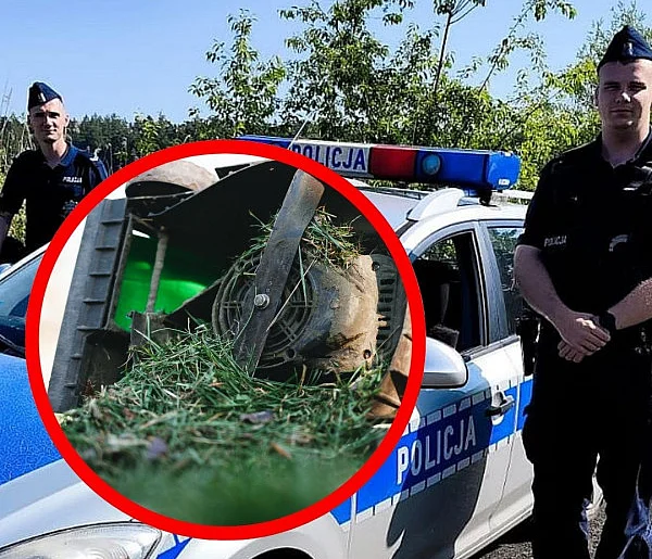 Koszmar na działce. 73-latka upadła na włączoną kosiarkę-80696