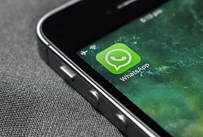 WhatsApp się zmienia. Czy aplikacja będzie płatna?-80804