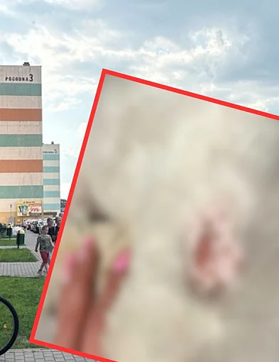 Pies został trafiony w trakcie spaceru. Właścicielka nie kryje emocji-80782