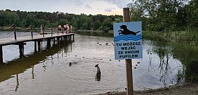 Włocławek przyjazny czworonogom