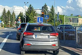 Egzamin na prawo jazdy będzie inny. Od 1 lipca nowe zasady-80929