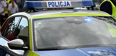 Mieszkańcy masowo łamali przepisy. Policja wlepiła kilkaset mandatów-80893