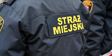 Strażnik z Włocławka bohaterem za granicą. Udaremnił nielegalne zapędy-80938