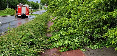 To tylko wiatr… a może coś więcej?  Włocławek na liście ostrzeżeń IMGW-80947