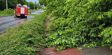 To tylko wiatr… a może coś więcej?  Włocławek na liście ostrzeżeń IMGW-80947