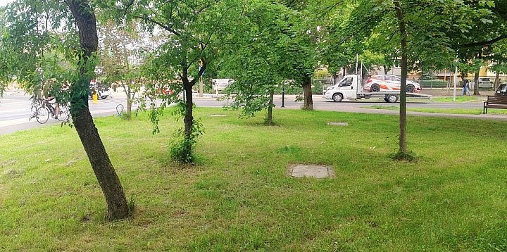 Prokuratura prostuje szokujące informacje z sieci-80979