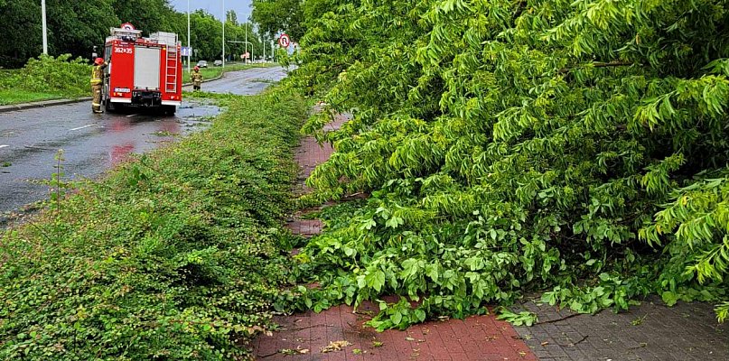 To tylko wiatr… a może coś więcej?  Włocławek na liście ostrzeżeń IMGW - 80947