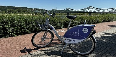 Ile kosztuje przejażdżka Włowerem? Tyle zapłacisz za godzinę jazdy-81048