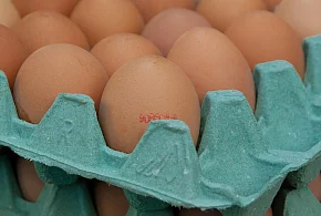 Salmonella na jajach znanej marki. Nie jedz, jeśli masz je w lodówce!-81166
