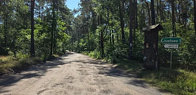 O naprawie tej drogi mówiło się latami. Wreszcie wybrali wykonawcę-81281