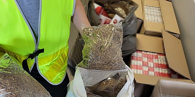 Kilogramy trefnego towaru u 69-latki. Policja zrobiła nalot-81347