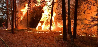Poranne piekło nad jeziorem Wójtowskim. Płonęły domki i las -81407