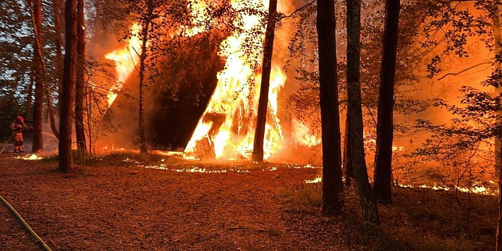 Poranne piekło nad jeziorem Wójtowskim. Płonęły domki i las 