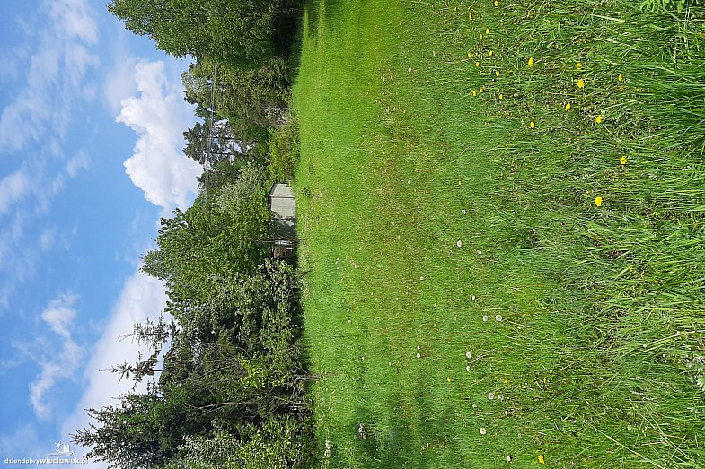 zdjecie ogloszenia