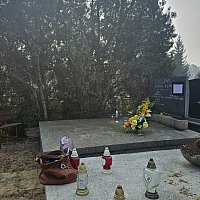 zdjecie ogloszenia