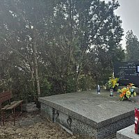 zdjecie ogloszenia