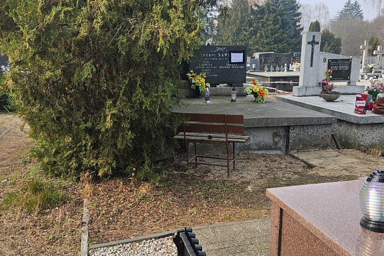 zdjecie ogloszenia