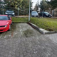 zdjecie ogloszenia
