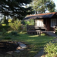 zdjecie ogloszenia