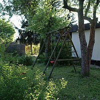 zdjecie ogloszenia