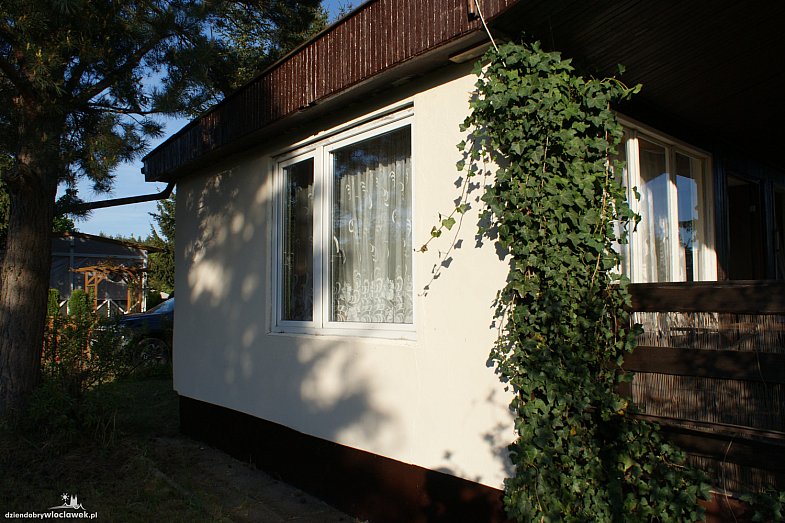 zdjecie ogloszenia
