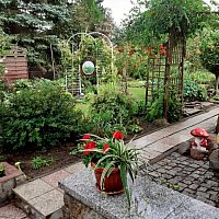 zdjecie ogloszenia