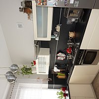 zdjecie ogloszenia