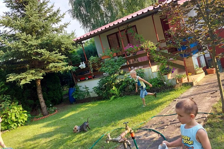 zdjecie ogloszenia