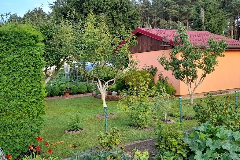 zdjecie ogloszenia
