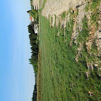 zdjecie ogloszenia