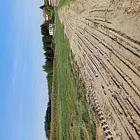 zdjecie ogloszenia