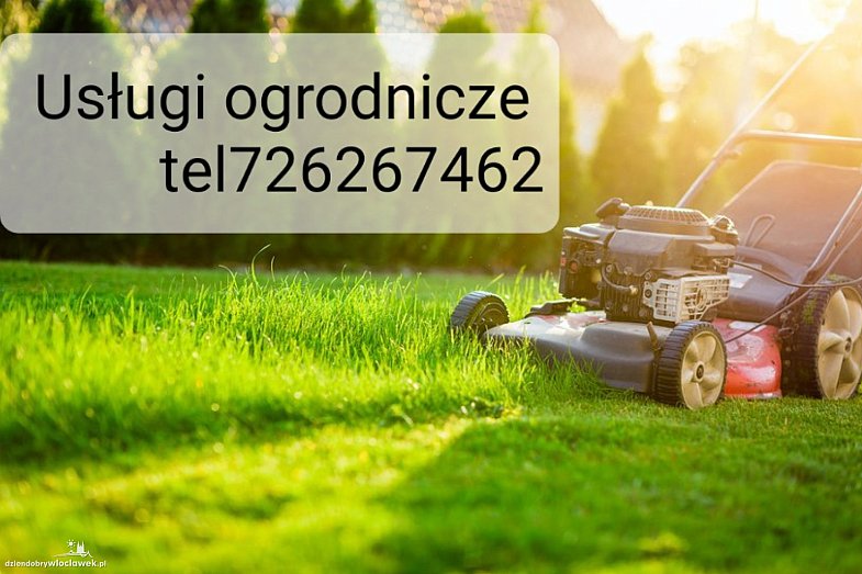 zdjecie ogloszenia