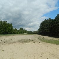zdjecie ogloszenia