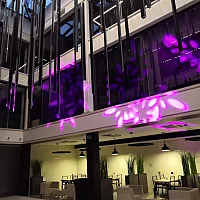 zdjecie ogloszenia