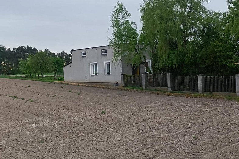 zdjecie ogloszenia