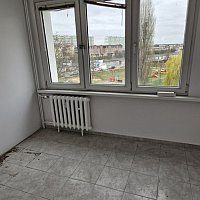 zdjecie ogloszenia