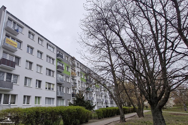 zdjecie ogloszenia