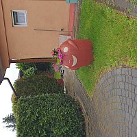 zdjecie ogloszenia