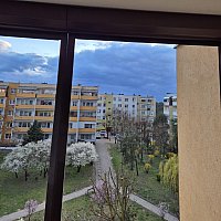 zdjecie ogloszenia