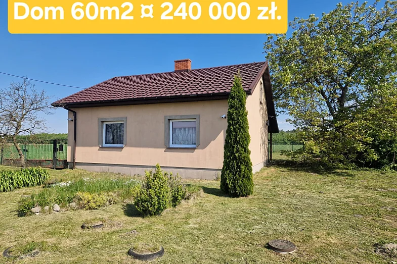 zdjecie ogloszenia