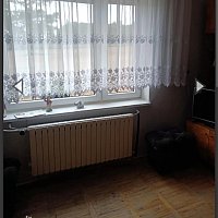 zdjecie ogloszenia