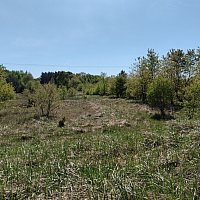 zdjecie ogloszenia