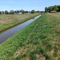 zdjecie ogloszenia