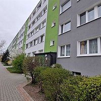 zdjecie ogloszenia