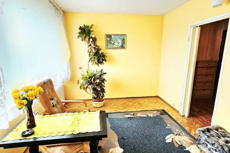 zdjecie ogloszenia