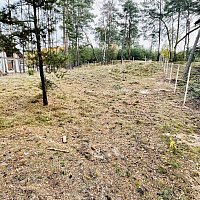 zdjecie ogloszenia